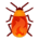 Aussie Firebug